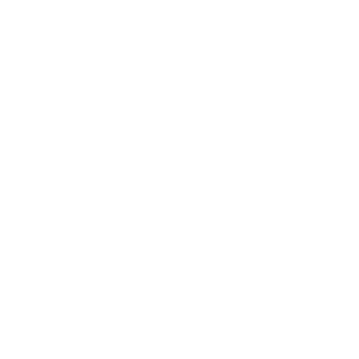 PageSpeed